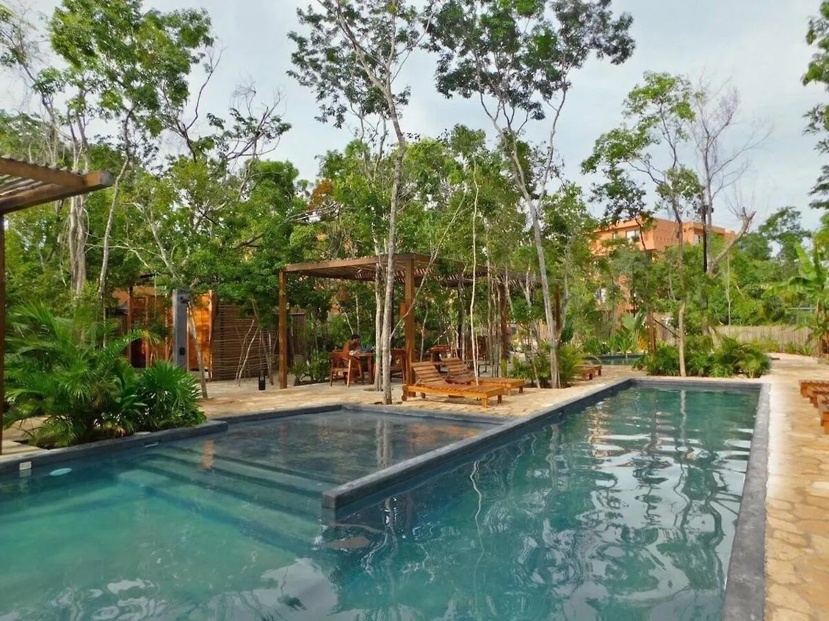Apartment Amplio Depto. C/Terraza Privada + Hermosa Piscina Tulum
