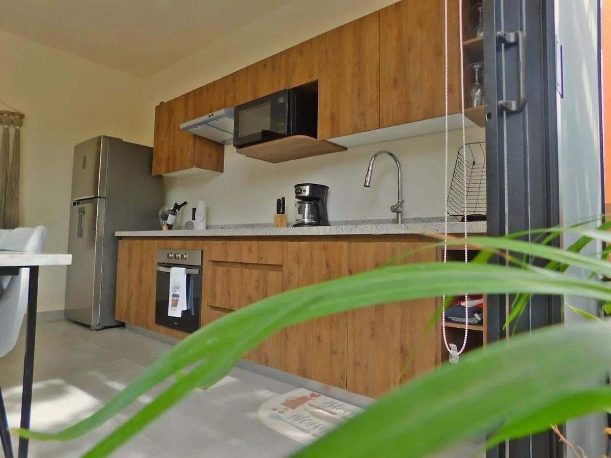 Amplio Depto. C/Terraza Privada + Hermosa Piscina Tulum Apartment