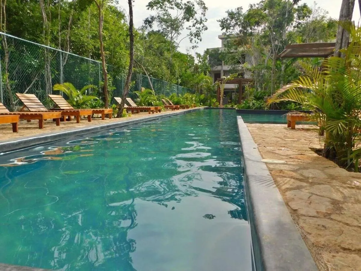 Apartment Amplio Depto. C/Terraza Privada + Hermosa Piscina Tulum