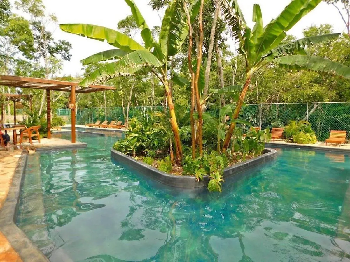 Amplio Depto. C/Terraza Privada + Hermosa Piscina Tulum Apartment