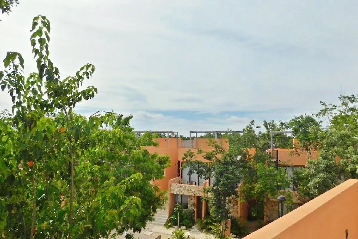 Amplio Depto. C/Terraza Privada + Hermosa Piscina Tulum 0*,